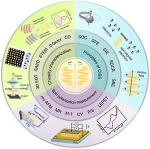 A Unified Framework for the CISS Effect: Bridging Principles, Characterization, and Applications