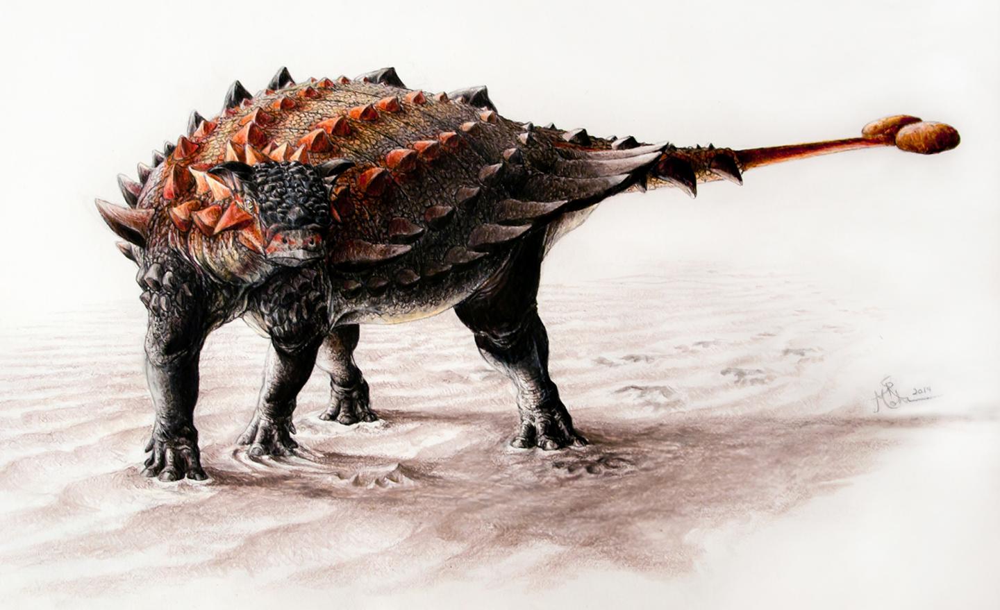 Dino Discovery