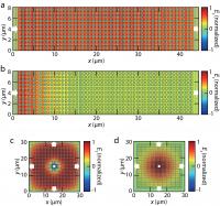 Figure 3 | Electric field distributions over large-area zero-index PhC slabs with (a, c) and without (b, d) BICs.