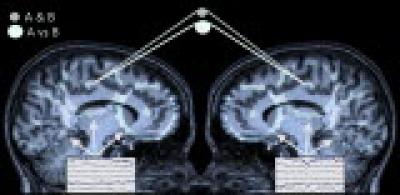 EEG and fEMG, 2 Persons