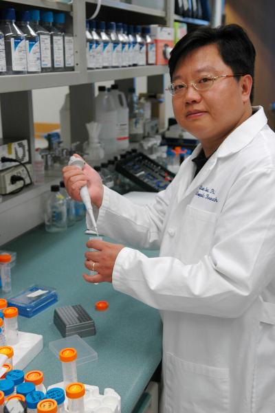 Qian Chen, PhD, Director of the COBRE for Skeletal Health and Repair at Rhode Island Hospital
