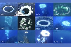 Composite-image-of-at-least-one-bubble-ring-from-each-episode-PR-6-5-2025