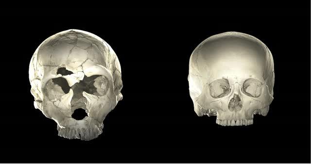 Neandertal -- Modern Human Rotation Together