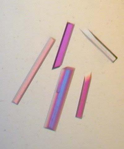 Crystallized HincII Protein