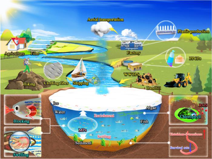 Review of microplastics in lakes: sources, distribution characteristics, and environmental effects