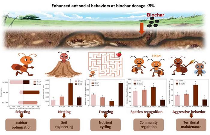 Biochar application enhances ant (Formica japonica) ecological functions as indicated by their social behaviors