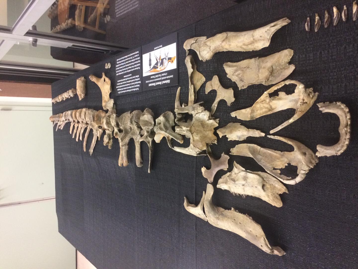 Remains