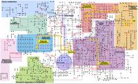 Metabolic Network