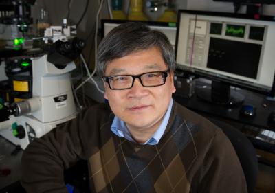 Cheng Zhu, Georgia Institute of Technology