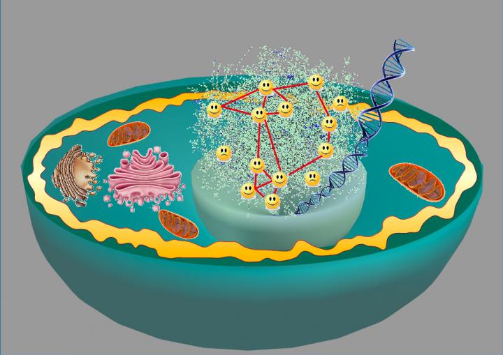 From Happiness on Twitter to DNA Organization