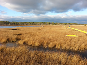 Sage Lot Pond Salt Marsh, Mashpee, Mass.