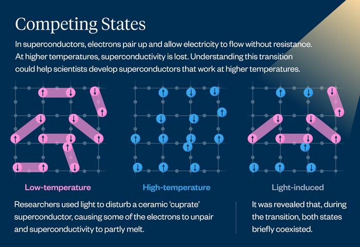 Infographic