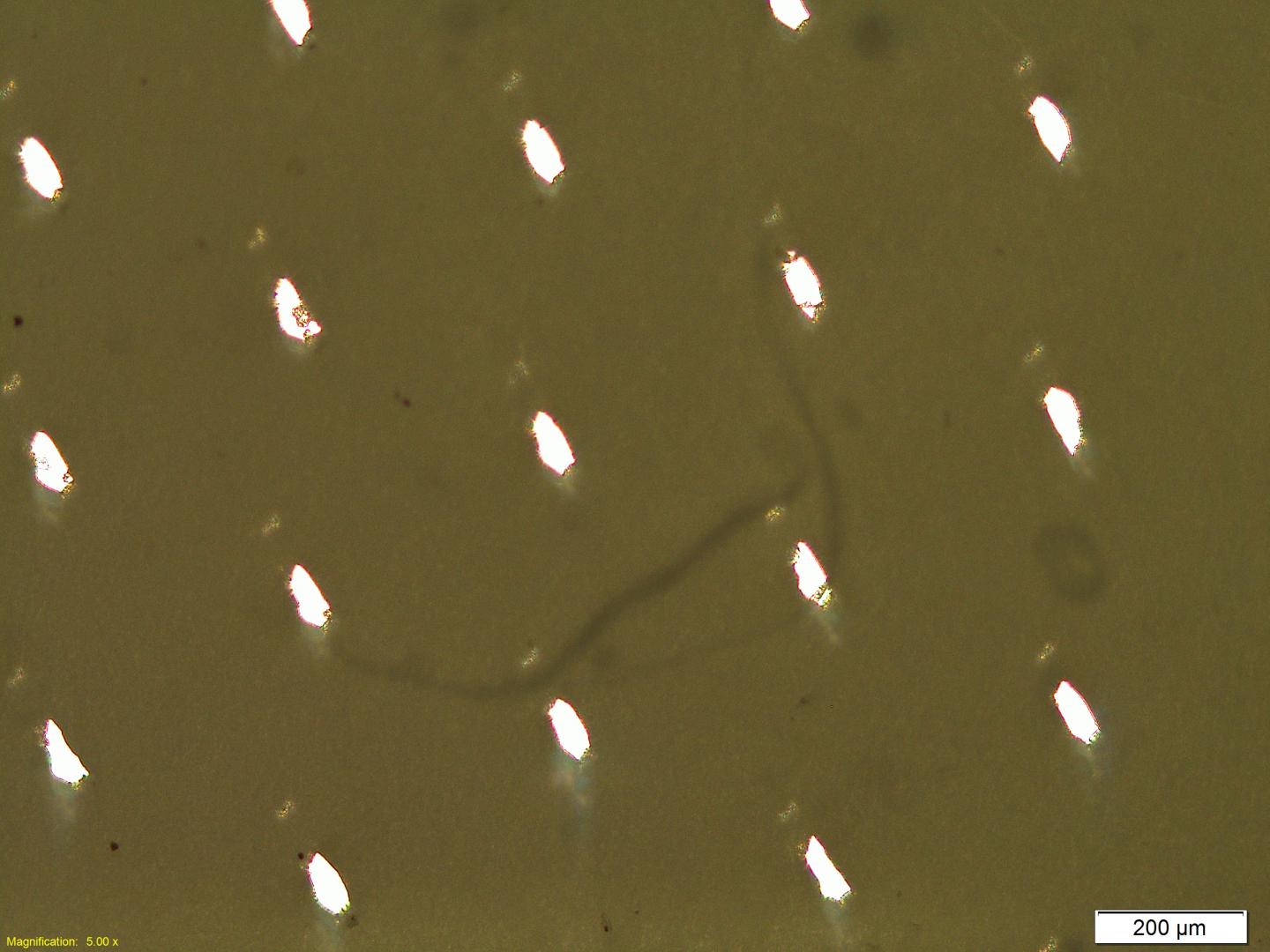 Keeping Cool Without Losing Your Shirt (5 of 8)