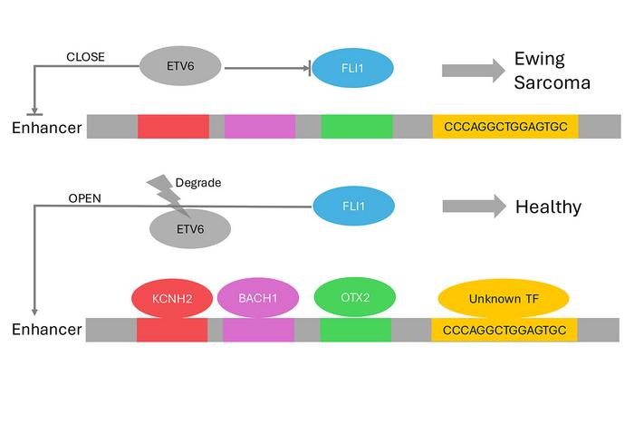 KMAP Figure 2