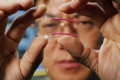 Z.L. Wang with Fiber Nanogenerator, Georgia Tech