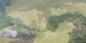 Forest mosaic – savannah / aerial view, with traces of fires in the savannah