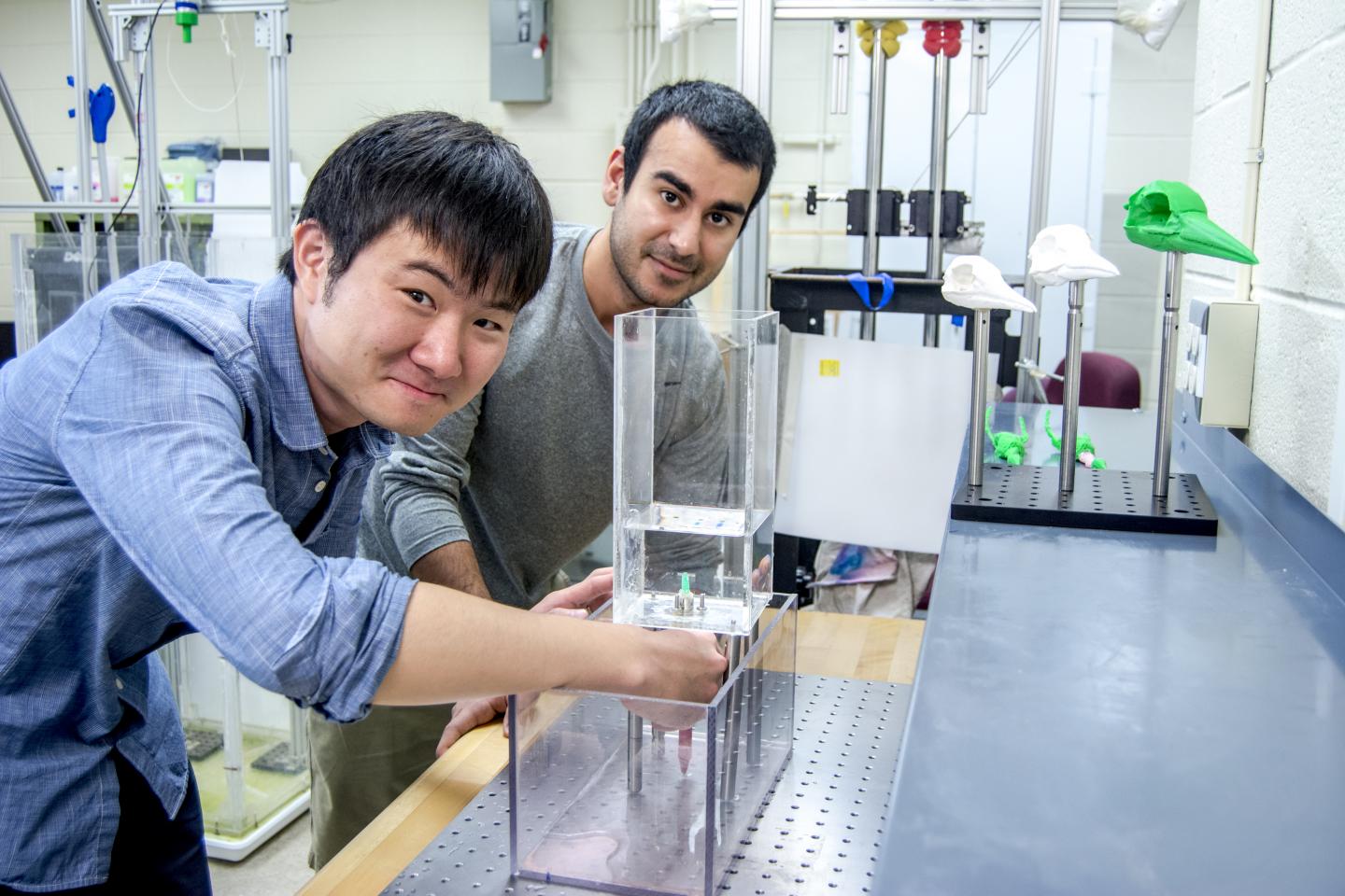 Fluid Dynamics Experiment Mimics Jumping Plankton