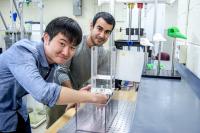 Fluid Dynamics Experiment Mimics Jumping Plankton