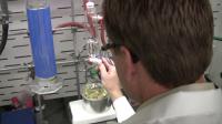 Lee's Lab