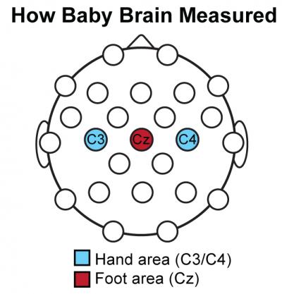 Sensor Sites