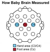 Sensor Sites