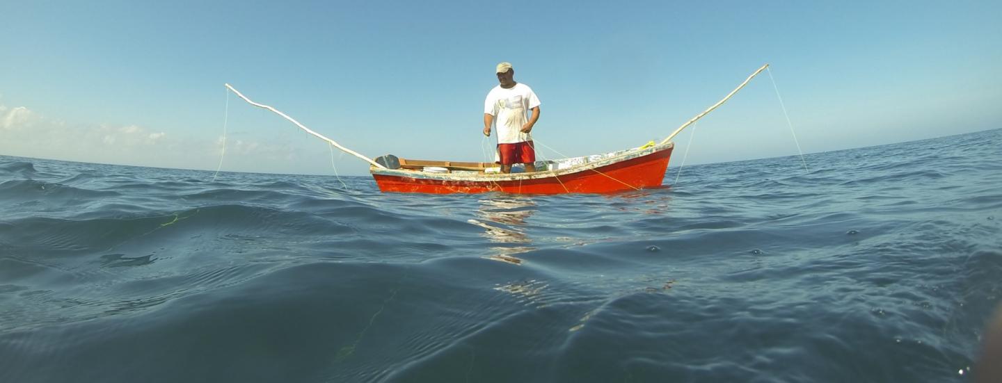 A Lone Fisher