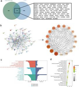 Network pharmacology suggests the potential mechanism of Ejiao in regulating chronic obstructive pulmonary disease
