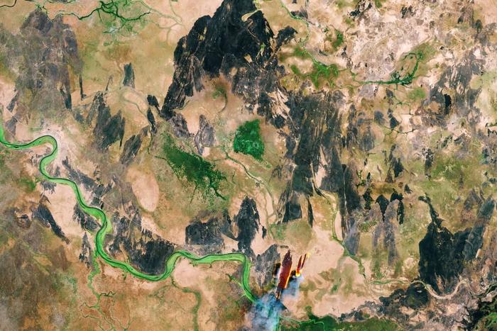 Global maps of forests.