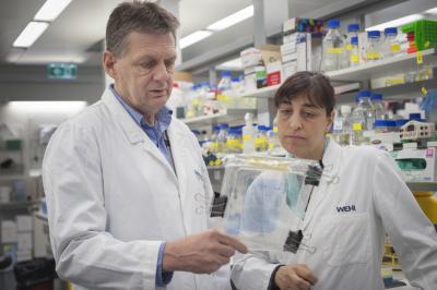 Alan Cowman and Dr. Neta Regev-Rudzki, Walter and Eliza Hall Institute