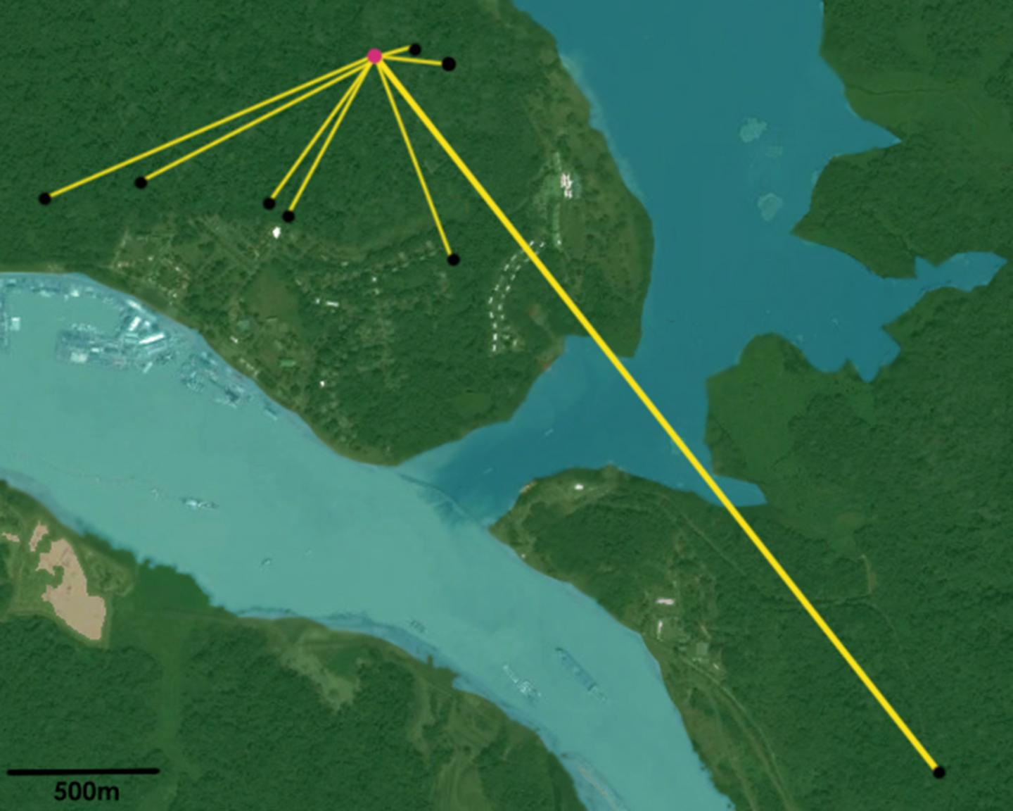 Mapping One Tree's Reproductive Partners