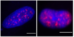science image