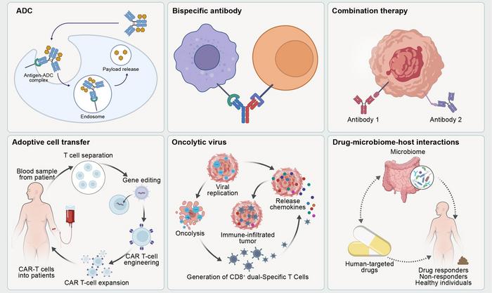 Emerging therapeutic strategies for EC