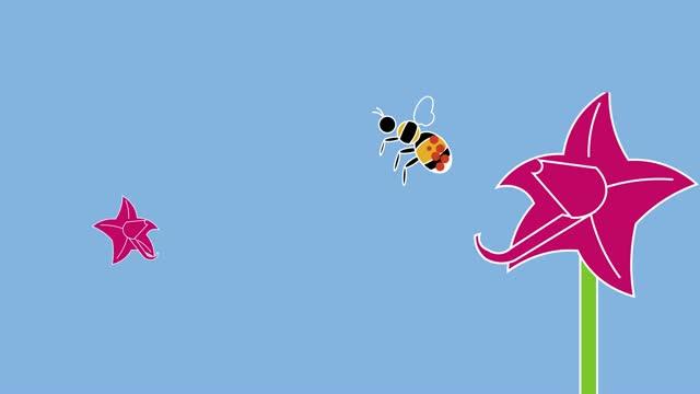 Bees and Flowers Fit Together like Locks and Keys