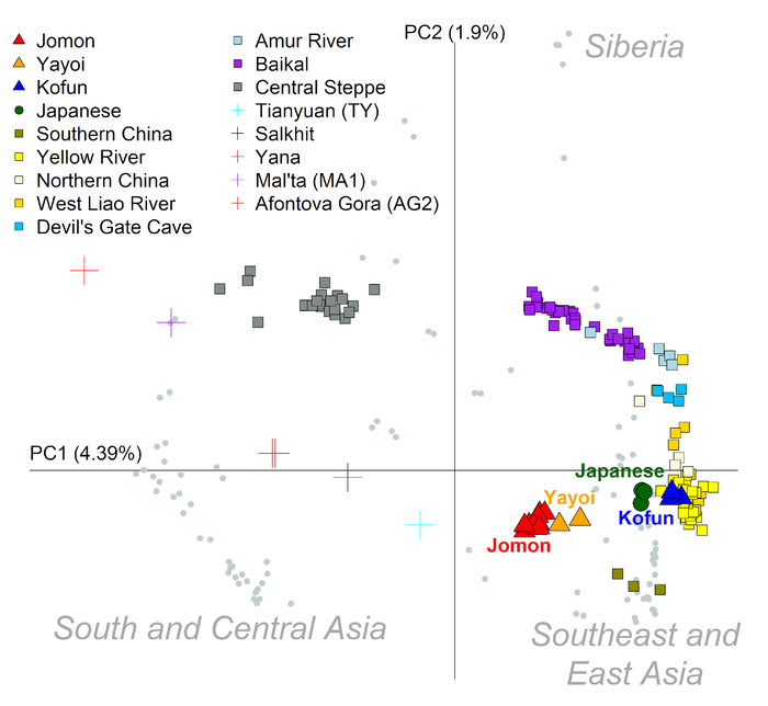 Principal component analysis of ancient human bone genome data.