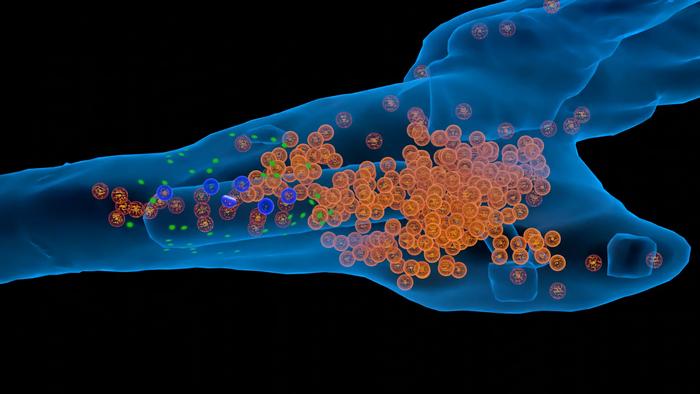 Animation of neurotransmitter release showing the effects of tethering
