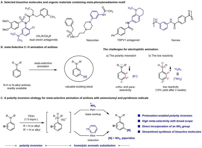 Acid-promoted meta-C-H bond amination of aniline to directly synthesize m-diphenylamine