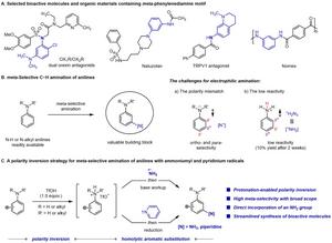 Acid-promoted meta-C-H bond amination of aniline to directly synthesize m-diphenylamine