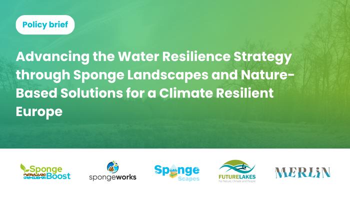 New collaborative policy brief on nature-based solutions