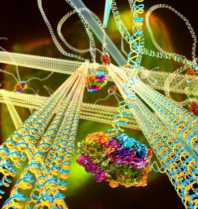 DNA Gel Concept Illustration