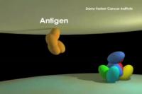 How a T Cell Switches from Disease-scanning to Disease-fighting Mode