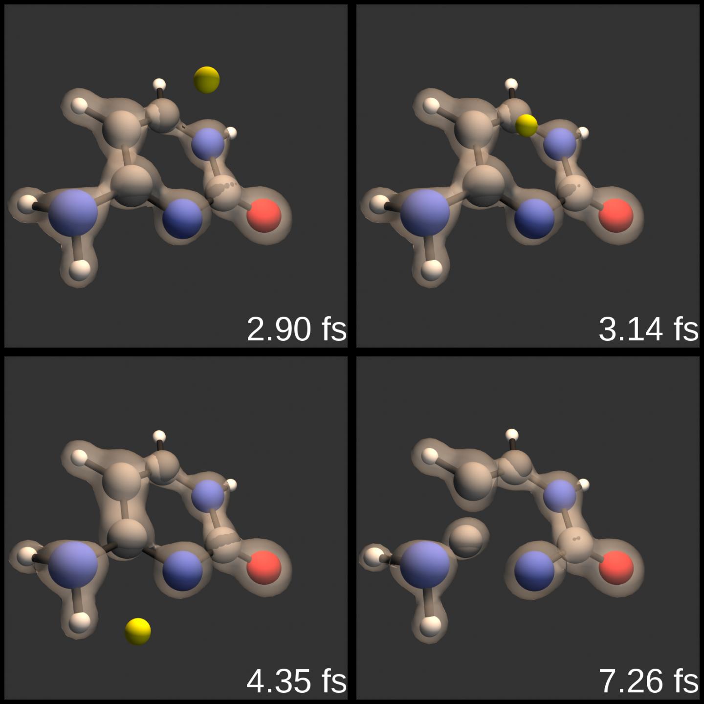 Proton-Induced DNA Damage Reactions during Proton Cancer Therapy