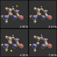 Proton-Induced DNA Damage Reactions during Proton Cancer Therapy