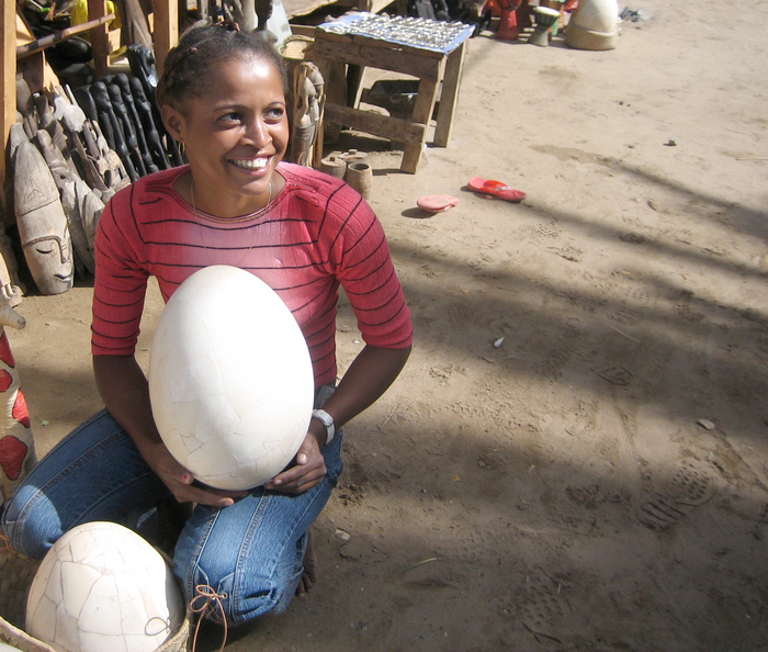 Elephant bird egg