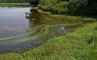 A New CNH project Looks at Rrban Stormwater.