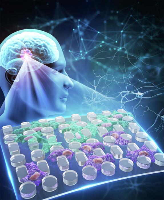 Open micro-valley chip for viscosity-driven glioblastoma invasion study.