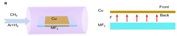 Schematic Diagrams