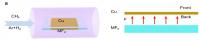 Schematic Diagrams