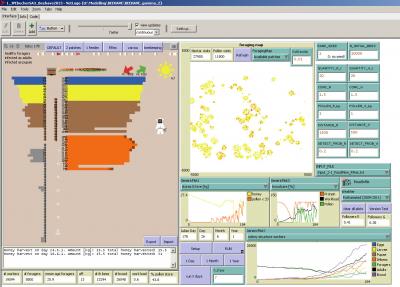 The Vitual Beehive: BEEHAVE Model Screen Shot