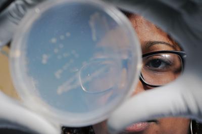 Studying Microorganisms in the Troposphere