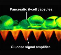 Microneedle Patch Close Up